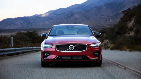 Volvo Bayileri